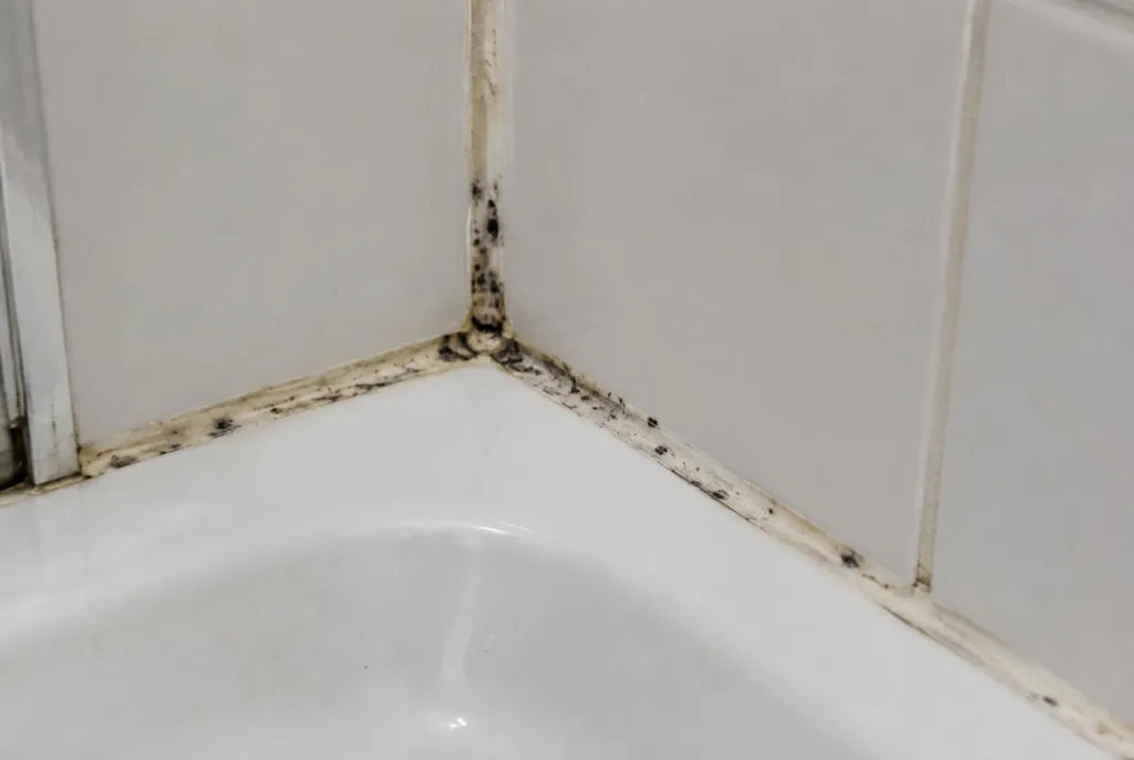 Kitbedrijf Rijnsburg – beschimmelde kitranden